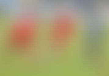 Independiente empató sin goles en Lincoln y cumplió el objetivo de permanecer en la categoría.