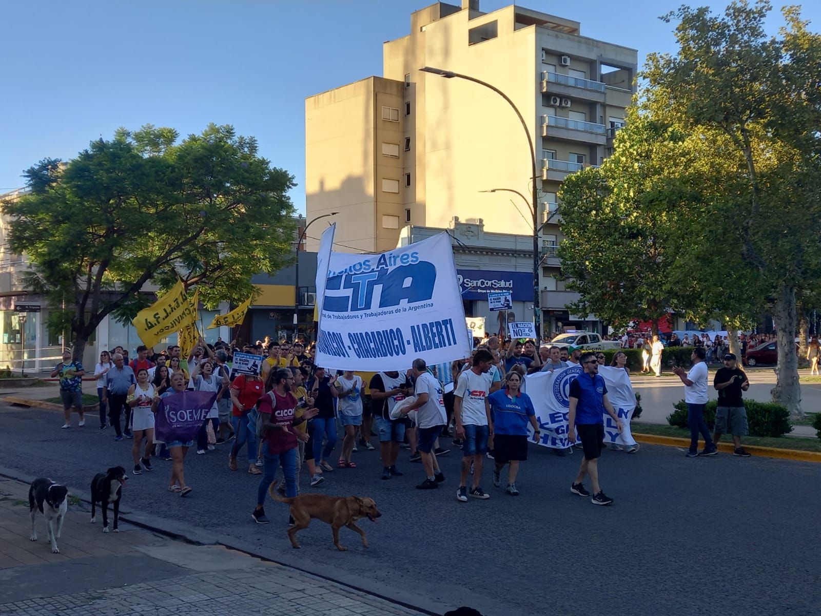 “Hay que mirar lo que el pueblo quiere decir respecto a las medidas que quieren tomar. El mensaje es claro, no queremos el DNU y la Ley ómnibus”