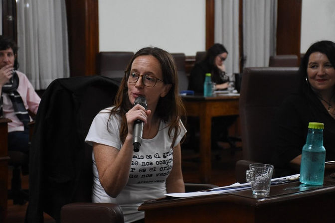 “Soy muy defensora de las declaraciones de interés municipal debido a que por un lado está el reconocimiento hacia esa persona y también el incentivo a seguir haciendo lo que está bien”