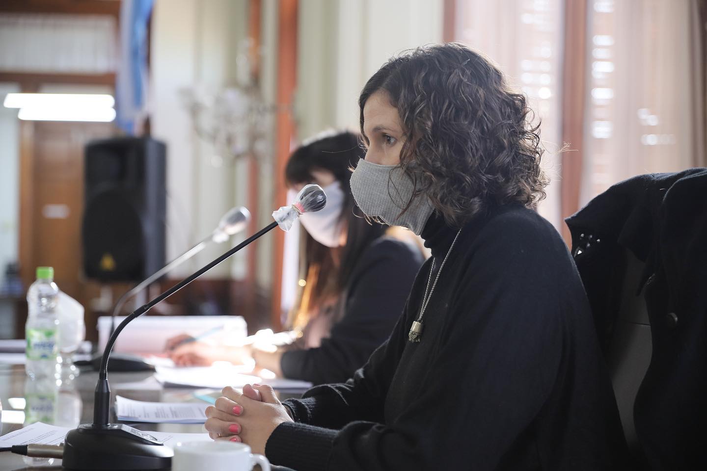 Carla Tomasini
“La rendición de cuentas fue aprobada por unanimidad pero los bloques opositores real