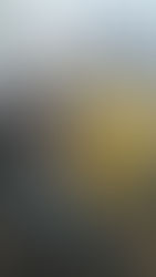 “Quienes realizamos alguna actividad artística nos expresamos a través de la obra”