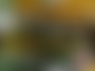 Argentino y Colón darán este miércoles el salto inicial al Torneo de Primera