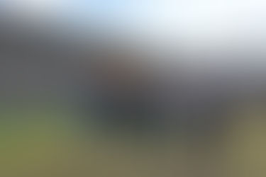 “Es un día histórico para Chivilcoy poder reactivar la obra del Polideportivo Municipal"