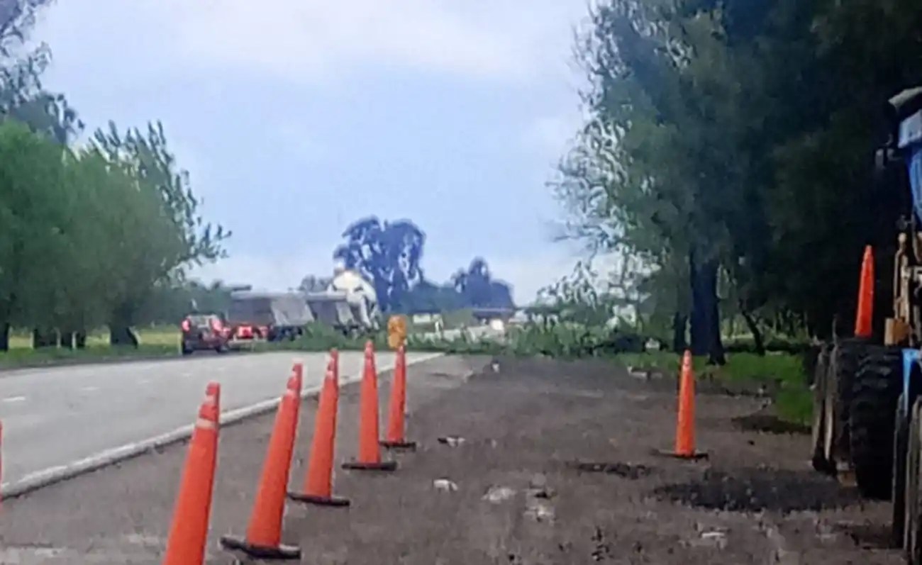 Las Flores: el temporal de viento provocó caída de árboles y cortes en la Ruta 3