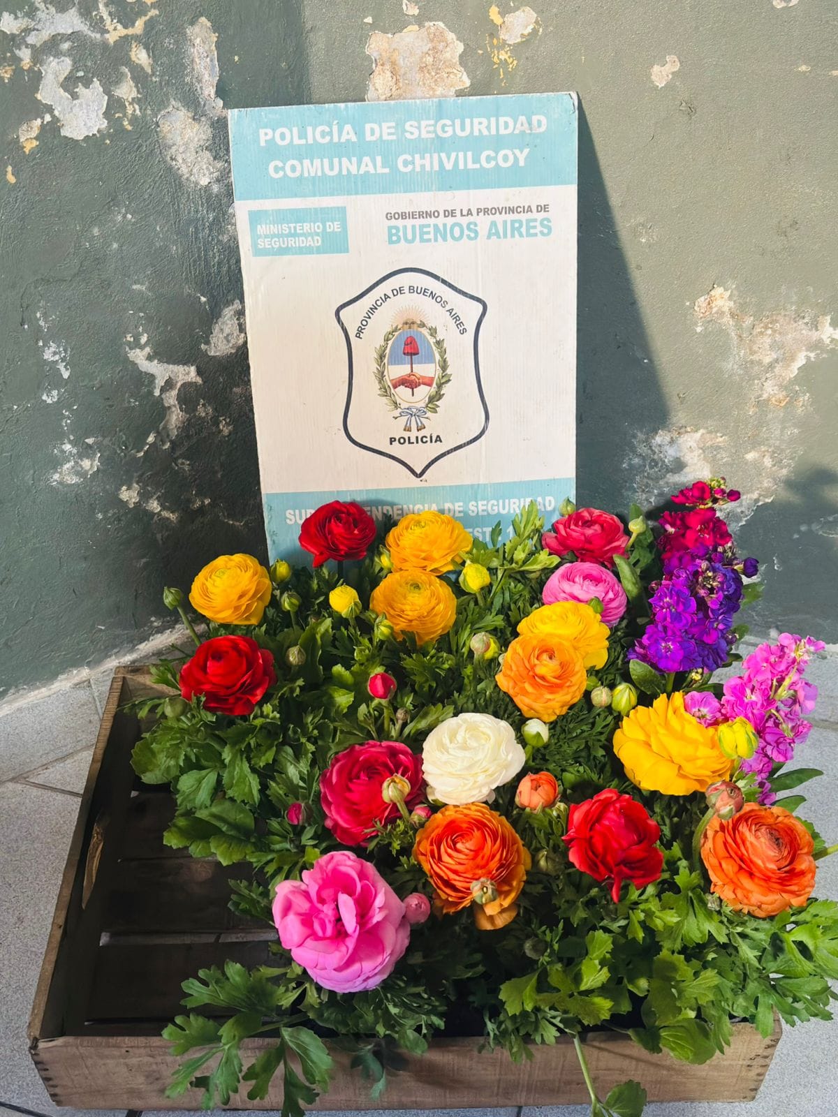 Aprehendieron a dos vendedores ambulantes y secuestraron plantas en Chivilcoy