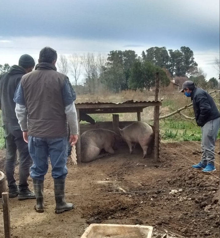 Triquinosis
“Tenemos más de veinte personas afectadas por estos chacinados”, consignó el Dr. Caprara