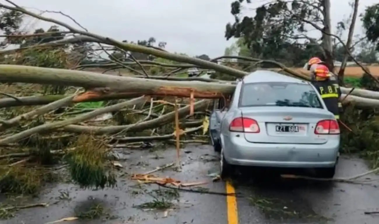 Las Flores: un automovilista chocó contra un árbol caído sobre la Ruta 74