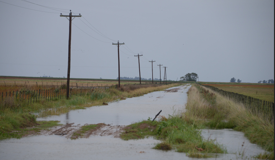 El Gobierno Nacional oficializó la emergencia agropecuaria en Chivilcoy y otros partidos