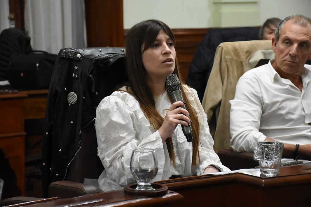 “La intención del Ejecutivo es vetar el proyecto de ordenanza, respeto su posición pero no la comparto en absoluto porque considero que el proyecto es viable”