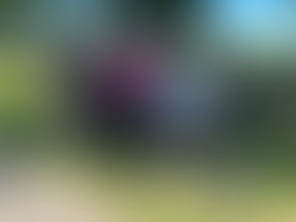 Un aprehendido por robar dos ruedas de un auto volcado en Ruta 5