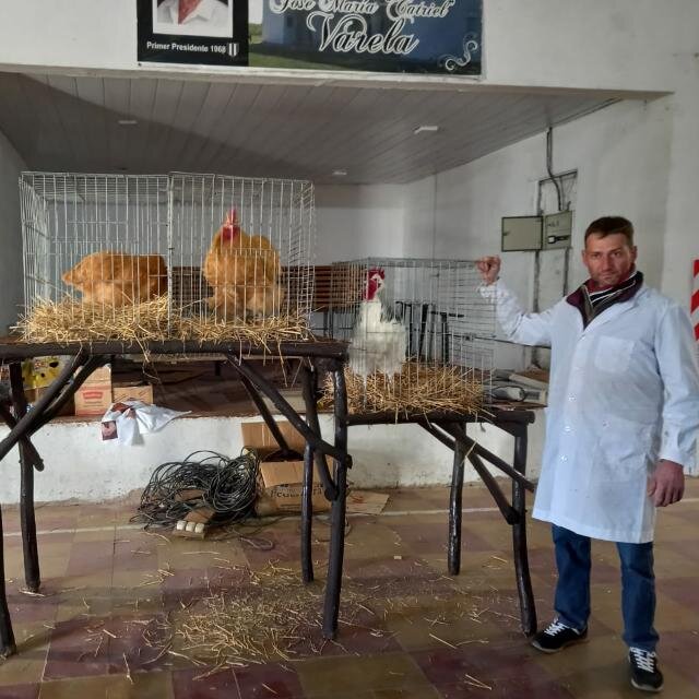 Es un desafío todos los años, lo que no quiero es fallar  y poder tener el galpón lleno de animales