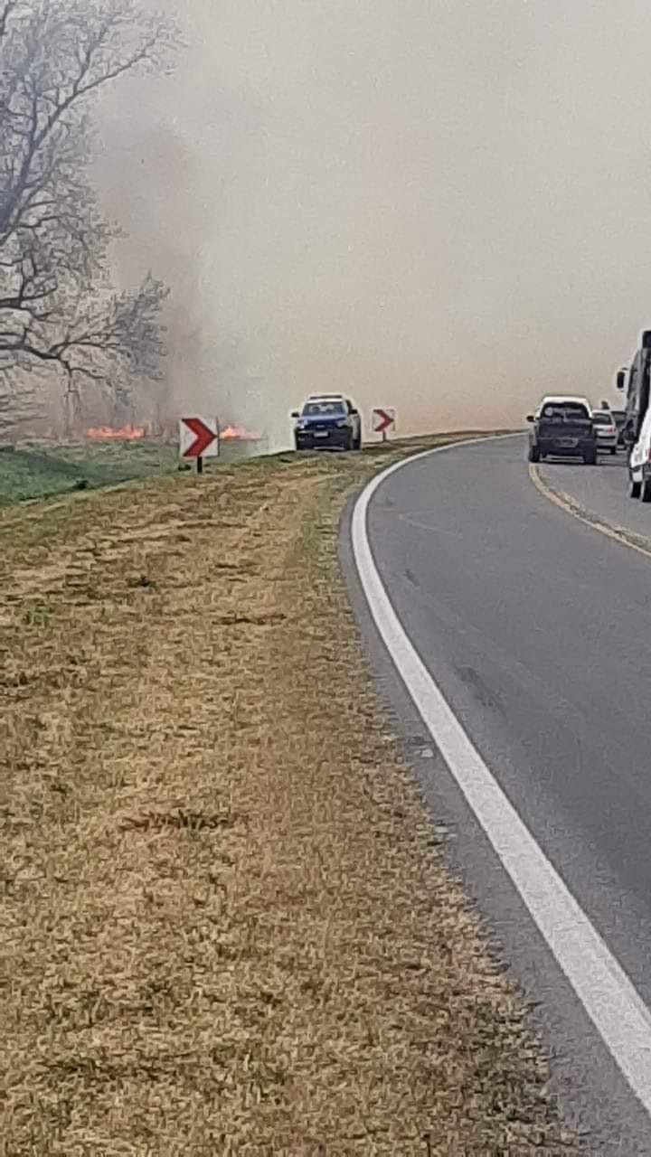 Cinco dotaciones trabajaron para controlar un incendio forestal a la vera de la Ruta Nacional Nº 5