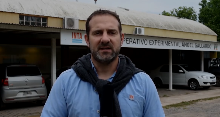 “La especie Australoheros facetus es un pez capaz de consumir más de 500 larvas de mosquito en menos de un día y el camarón 50”