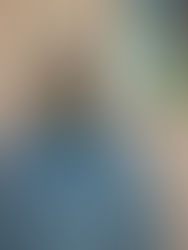 Cesario: “Se ha tomado mucha conciencia sobre el valor de la abeja y lo bueno que es lo que produce”