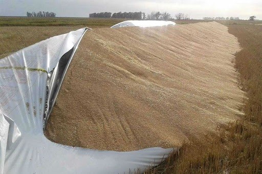 Publicación Pedida 
Juntos por el Cambio Chivilcoy repudia los actos de vandalismo al sector agropec