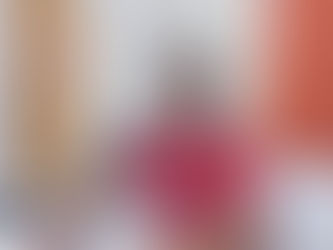 “En 2023 tuvimos más ventas de tractores, pero el año anterior se invirtió y fue mucho más alta la venta de sembradoras”