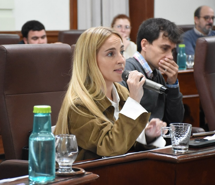“Nos cuesta hacer pasar un proyecto en este momento al ser dos concejales únicamente pero pusimos en agenda muchos temas de los que no se venían hablando en Chivilcoy”
