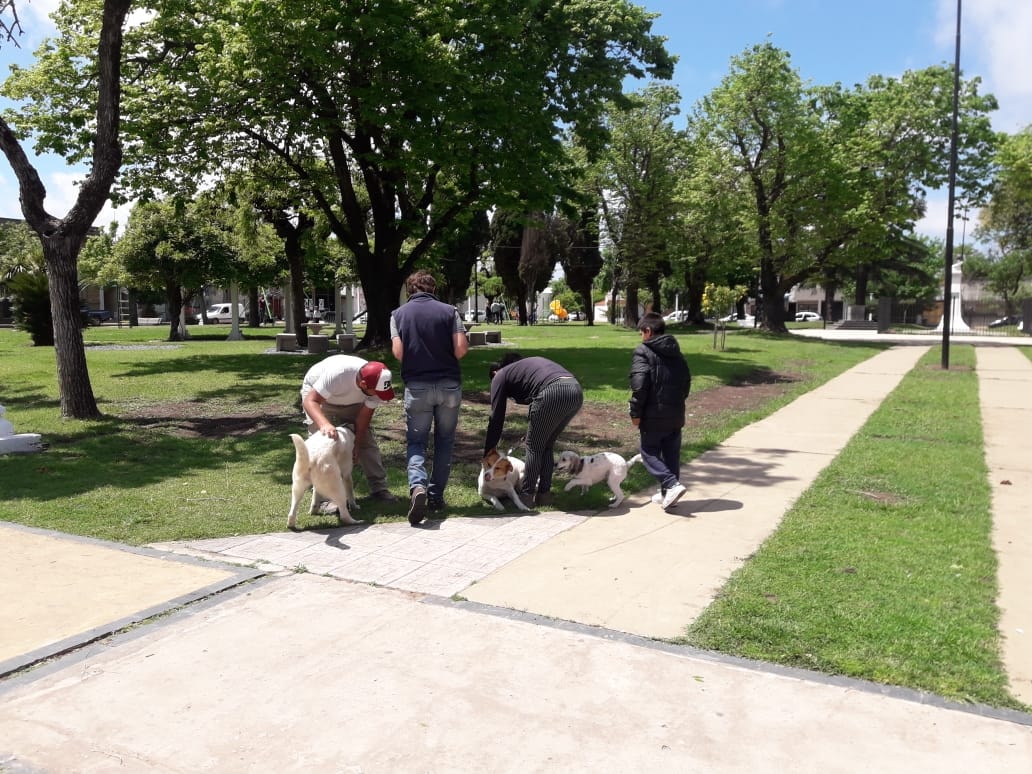 CAZMA
Este martes, tras ser autorizada, se retoma la vacunación antirrábica de mascotas