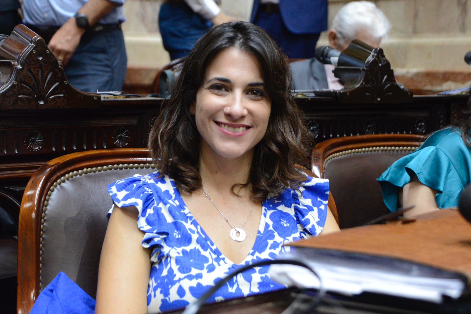 “Pudimos convertir en ley la moratoria previsional"