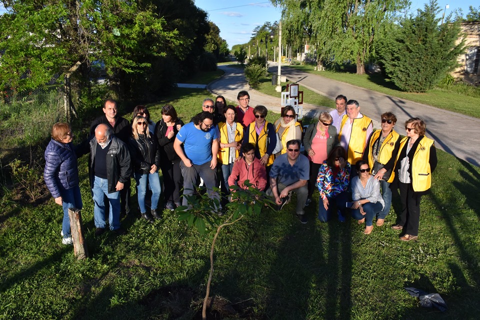 Club de Leones
Plantaron un ombú en el paseo ‘Santilli’ en celebración del 55º aniversario