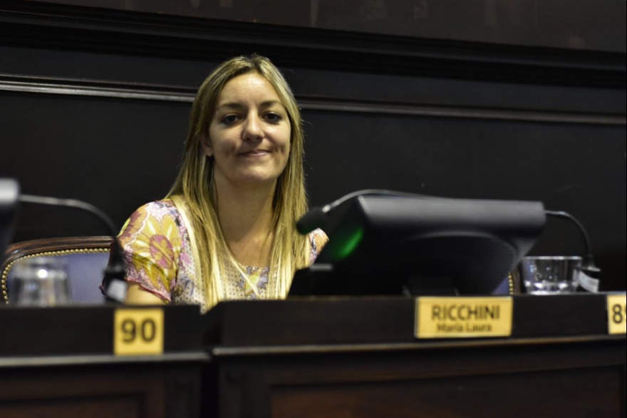 “Seguimos siendo Pro porque mucho se habló si se formará parte o no de la Libertad Avanza, pero la determinación fue decir que continuamos siendo el Pro”