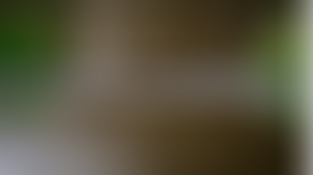 Puente de la Ruta 5: “la estructura no presenta indicios que configuren riesgo estructural”