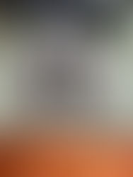 “Incorporamos alcoholímetros de testeos rápidos que nos permiten hacer 12 alcoholemias por minuto”