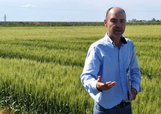 Gustavo Ferraris
“Los niveles record de producción que se obtuvieron en los últimos años no es produ