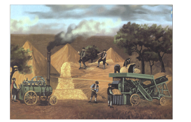 EL CULTIVO DEL TRIGO EN CHIVILCOY (1850-1940) 2ª Parte