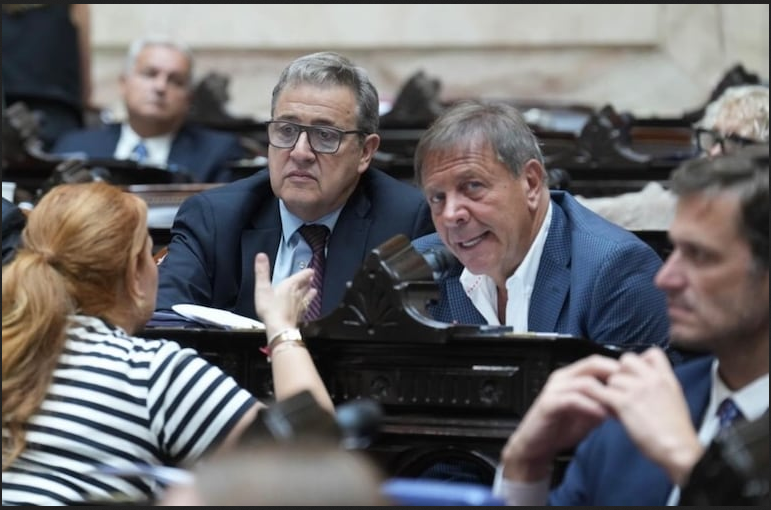 Chivilcoy busca ser declarada Capital Nacional del Coleccionismo en la sesión de este miércoles