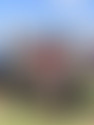 Fútbol
Facundo Giaccone campeón en Quinta División con Estudiantes de La Plata