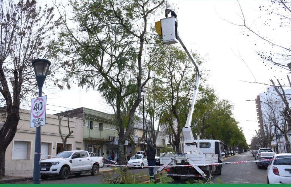 Despeje de luminarias en la Avenida Villarino