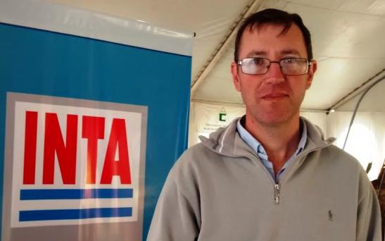 Andrés Corró Molas
“El girasol grueso prácticamente se encuentra todo levantado”