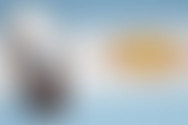 Las PASO marcarán el punto de partida en la carrera electoral para las fuerzas chivilcoyanas