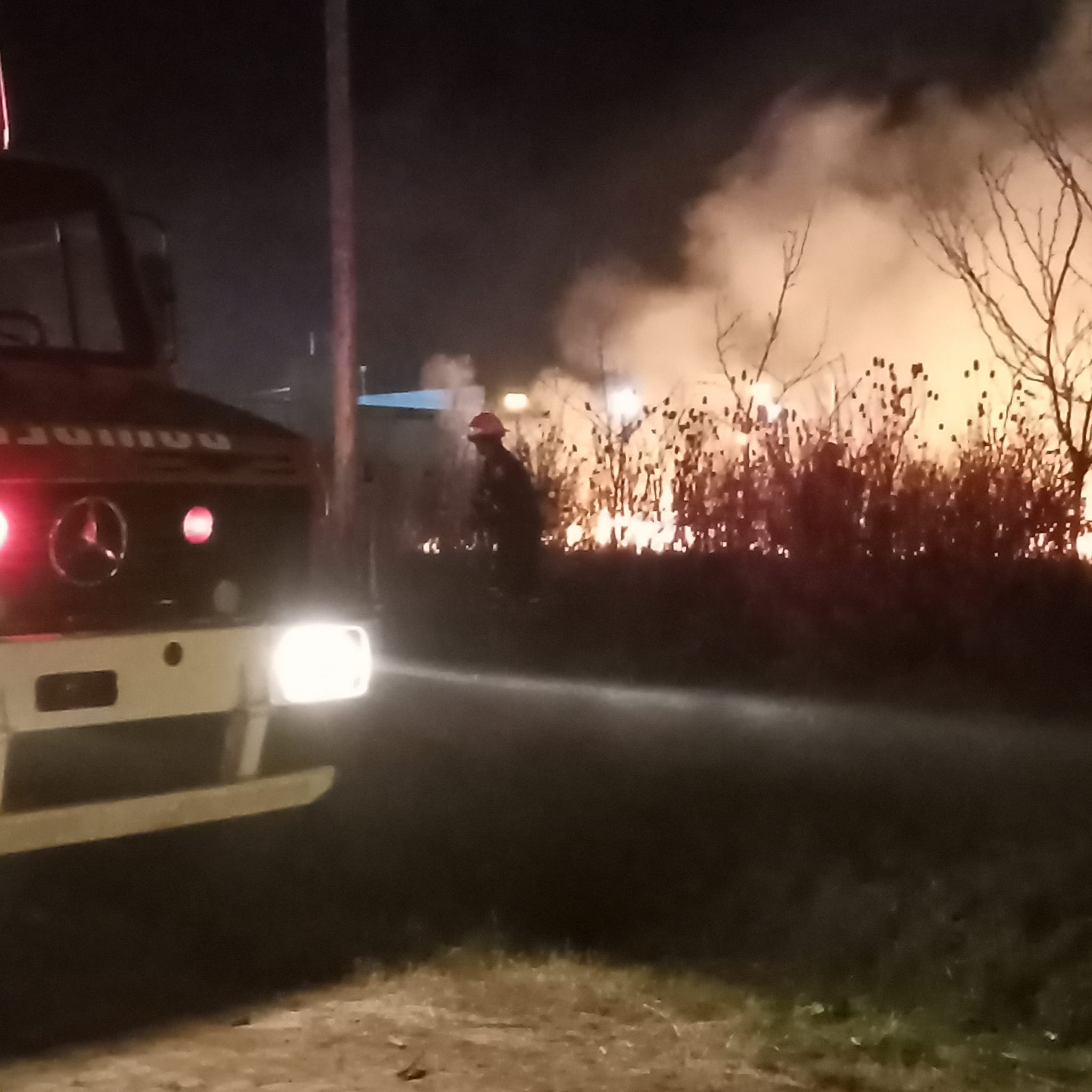 Martes con más salidas forestales en diferentes puntos de la ciudad
