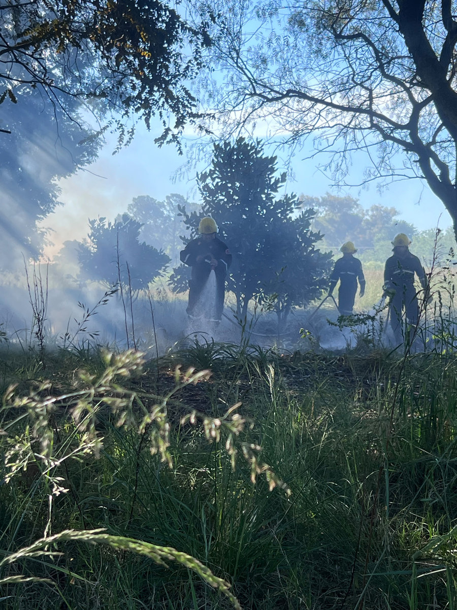 Artola: bomberos controlaron un incendio de ramas y monte sobre la Ruta 30
