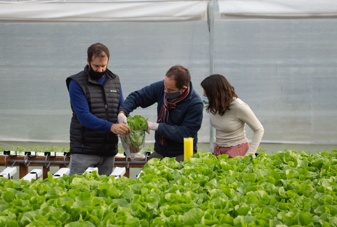 “In Aqua es una empresa inspirada en los valores del concepto de triple impacto"