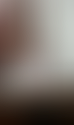 “La ordenanza prohíbe la venta de productos con alta sonoridad en comercios locales pero resulta difícil impedir que un vecino lo compre en otra ciudad y lo haga explotar en el patio de su casa"