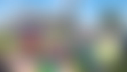 "Los únicos privilegiados son los niños", sostuvo José María Giorgetti