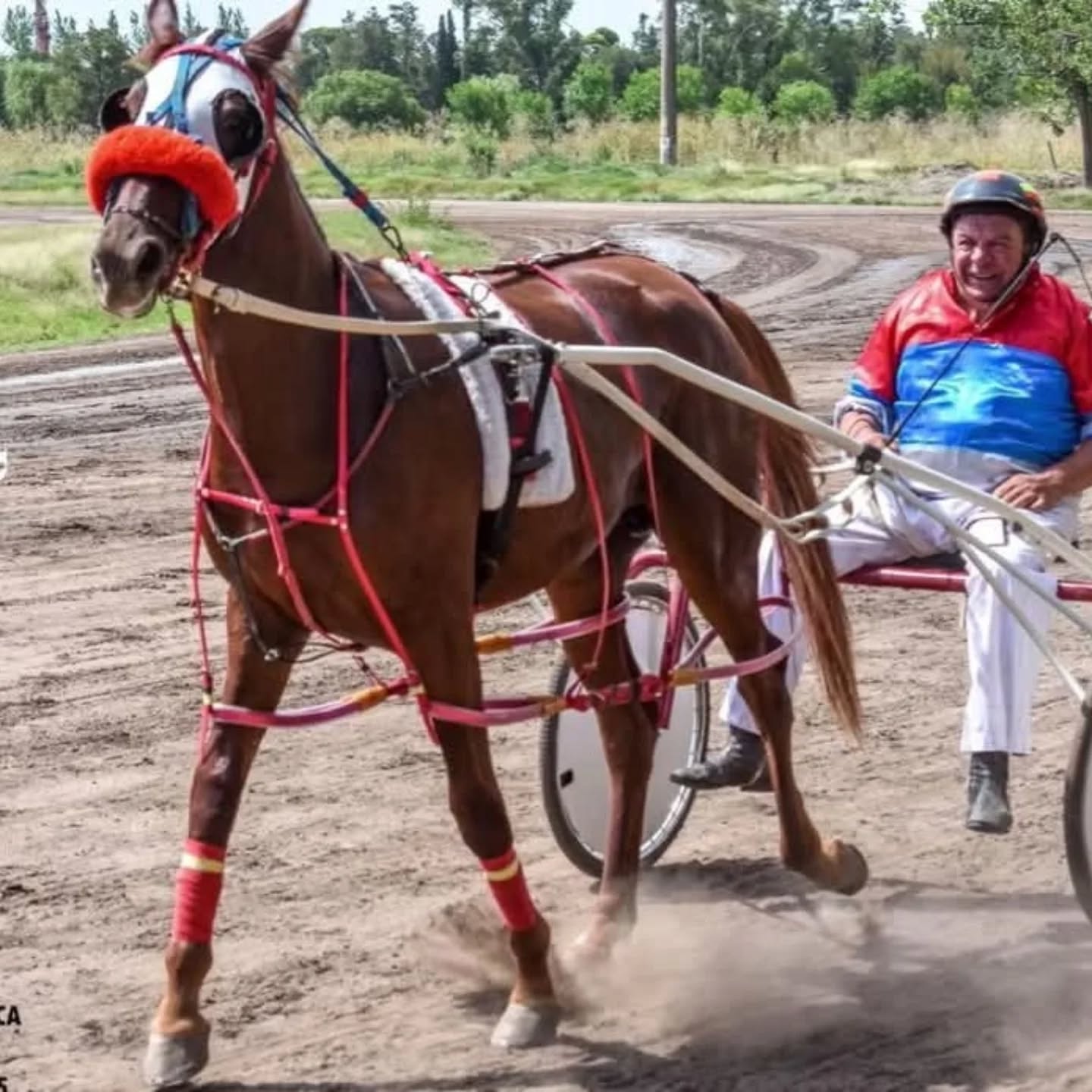 Falleció Carlos 'Tanque' Giuliano luego de un accidente cuando entrenaba con un caballo