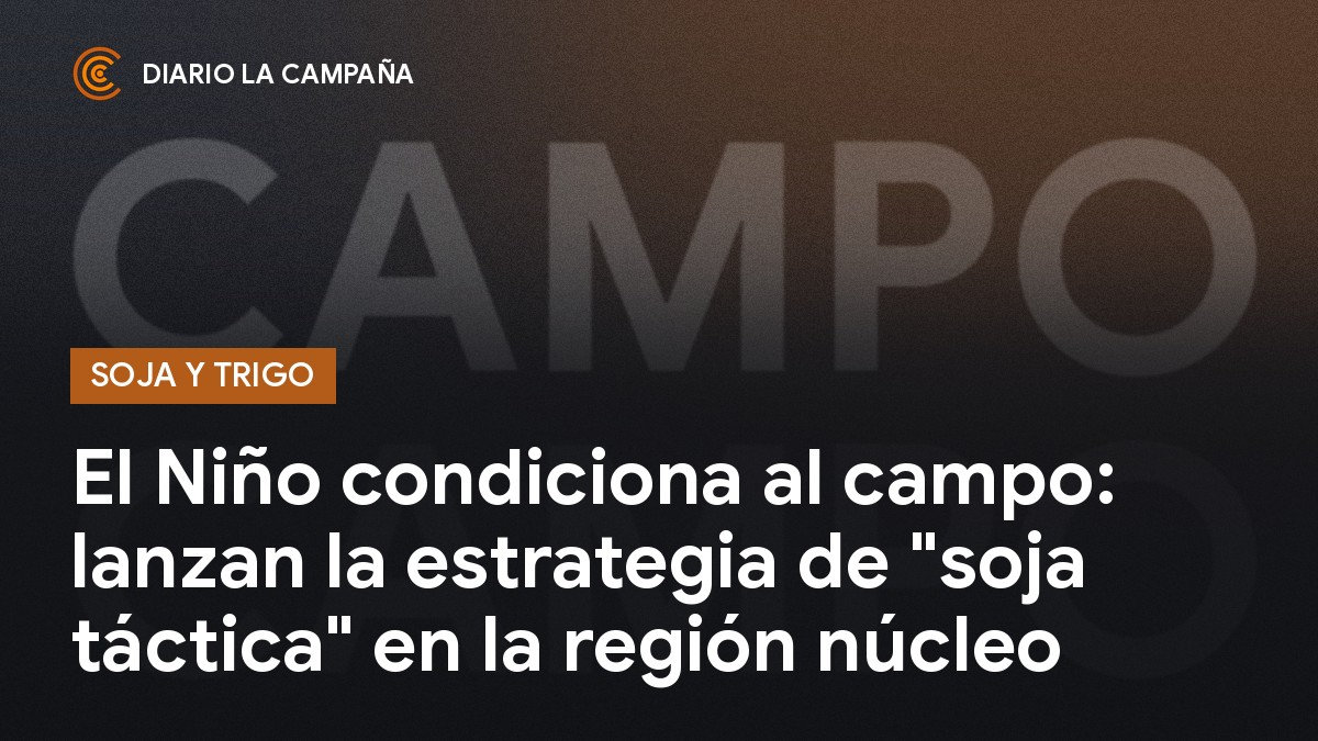 El Niño impulsa la "soja táctica" en la región núcleo y el trigo enciende alertas sanitarias