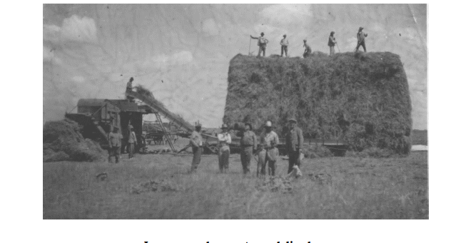EL CULTIVO DEL TRIGO EN CHIVILCOY (1850-1940) 3ª Parte