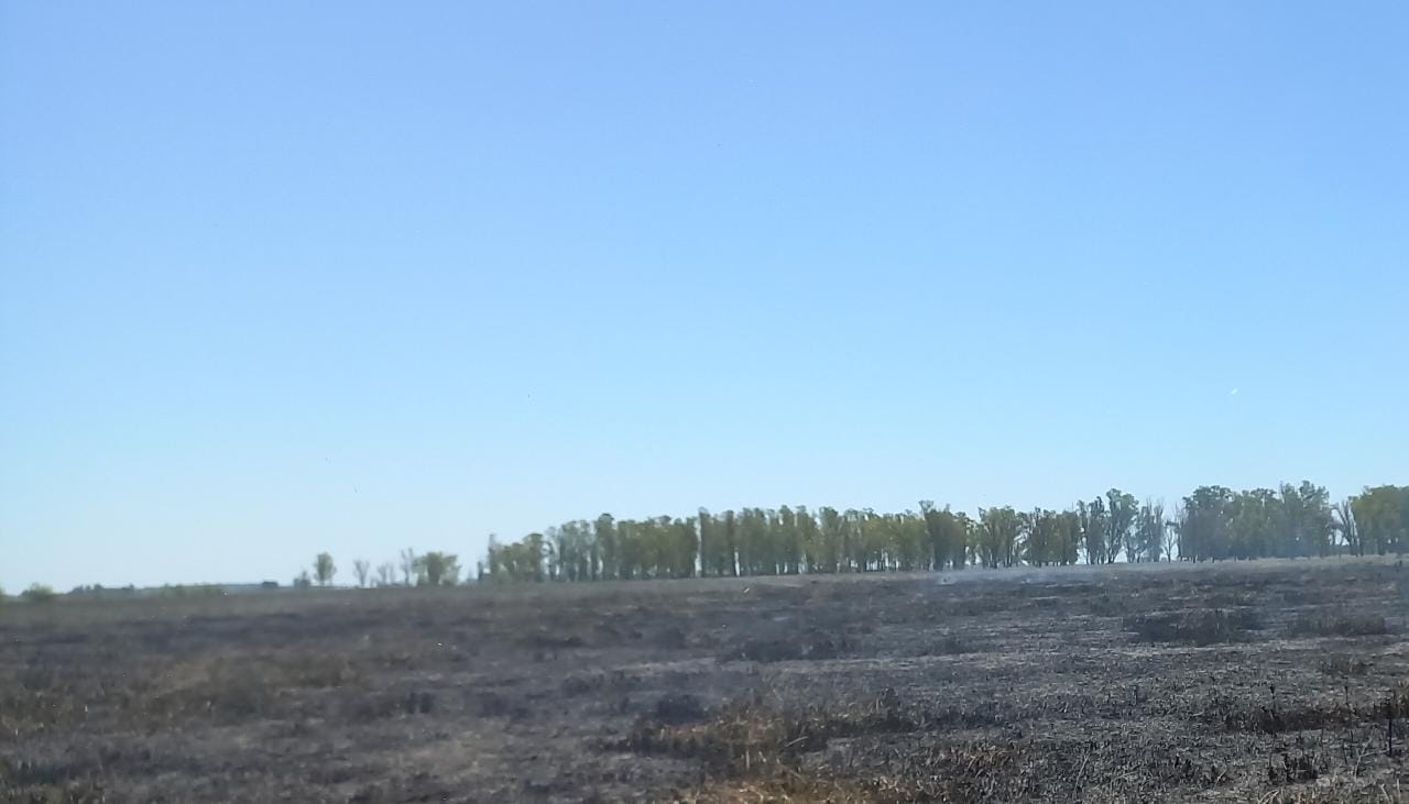 Siete dotaciones trabajaron en un incendio forestal de gran magnitud