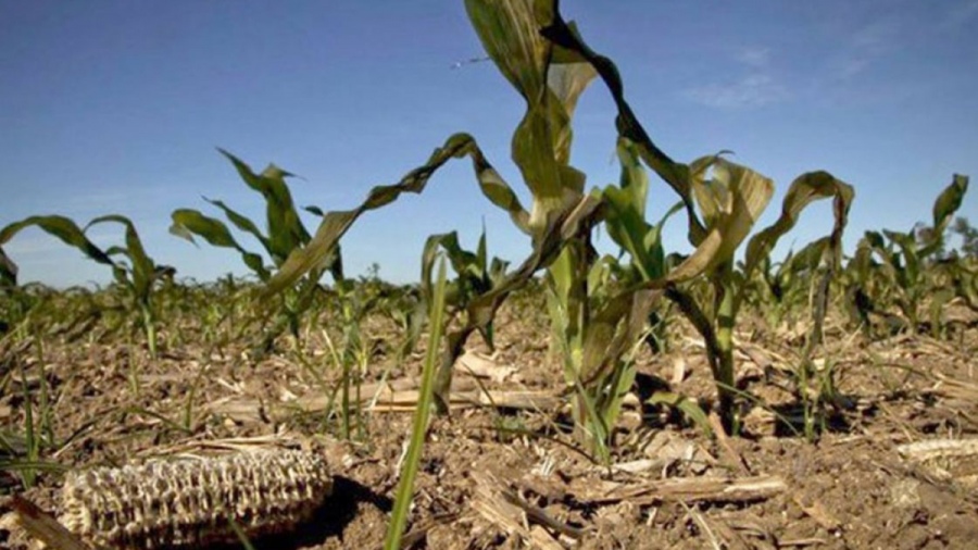 La Provincia declaró estado de emergencia agropecuaria en ocho distritos de la Cuarta