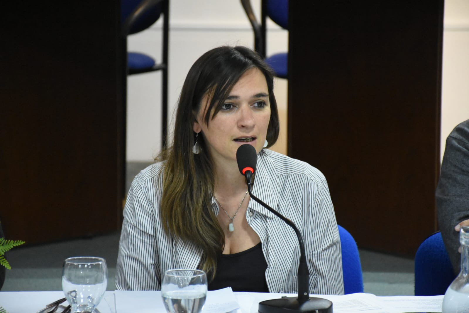 El Centro Universitario de Chivilcoy es uno de los pocos donde se dicta de manera completa el CBC