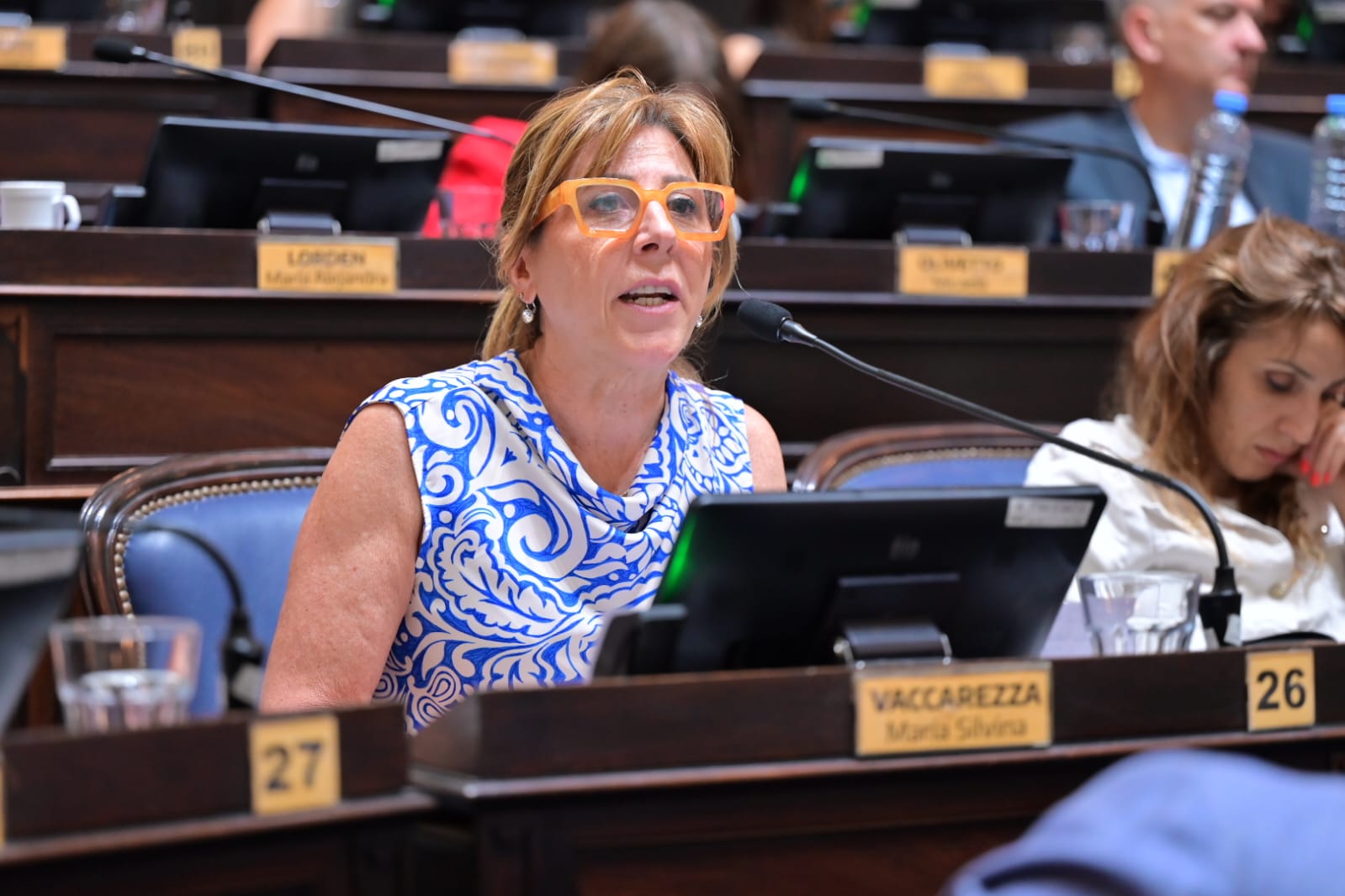 Convirtieron en ley el proyecto de Silvina Vaccarezza que actualiza las prioridades de paso en la Provincia