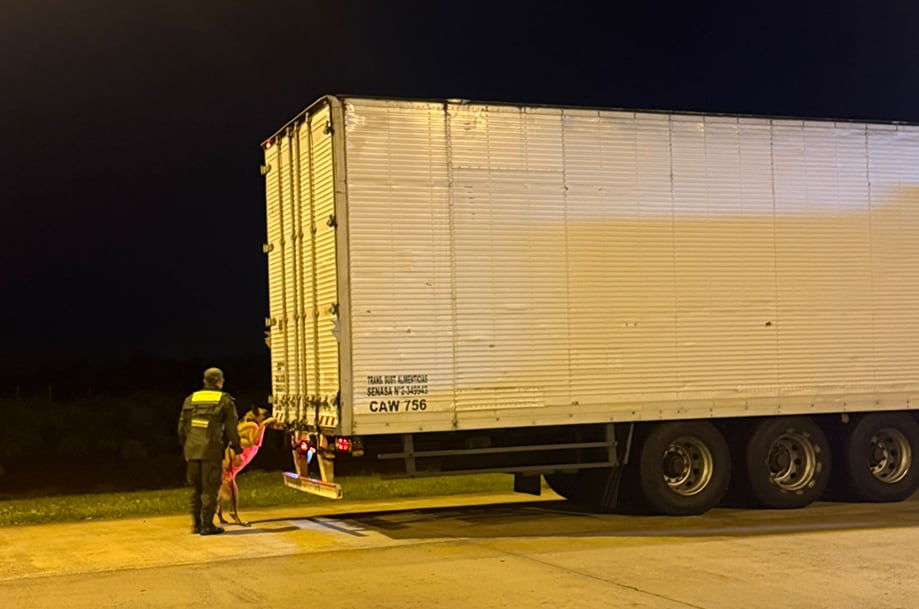 Operativo antidrogas: secuestran casi media tonelada de marihuana rumbo a Buenos Aires