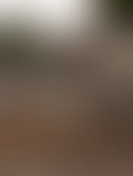 Conductor fugado
Camioneta impactó contra un poste de energía eléctrica