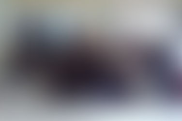 Fin de semana de seminarios y combates para el Ludus Fight Club