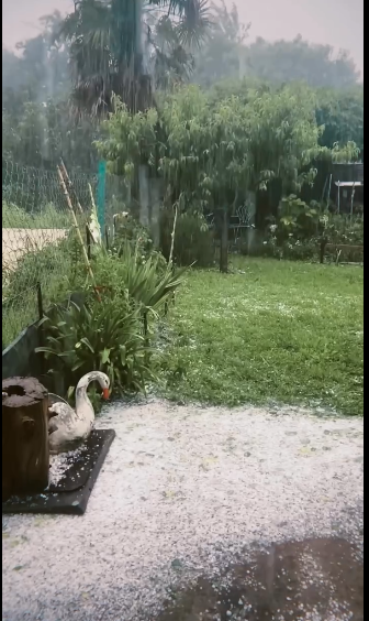 Fuerte tormenta con ráfagas de viento con una intensidad superior a los 90km/h, abundante caída de granizo y una precipitación de 30mm en la ciudad